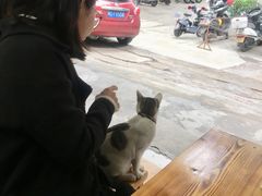 大堂-胖胖板凳面