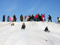 -丁香湖丁香小镇Citypark滑雪公园戏雪嘉年华