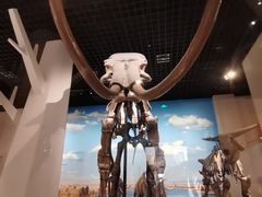 -国家自然博物馆