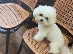 -沏点Trattoria意大利餐厅(新街口店)