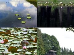-上海辰山植物园