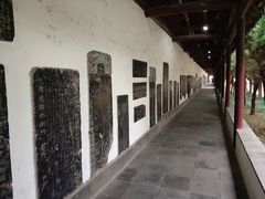 -苏州文庙(姑苏区)