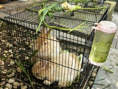 -柳沟豆腐宴69号福豆堂