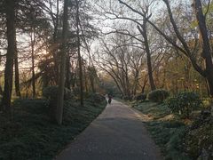 -T80科技文化国际社区-停车场
