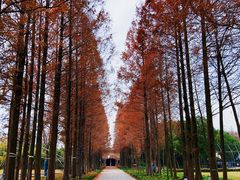 -歌斐颂巧克力小镇