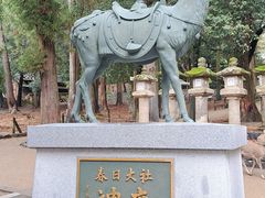-奈良公园