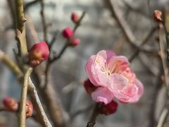 -北京鹫峰国家森林公园