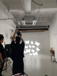 -大树儿童摄影