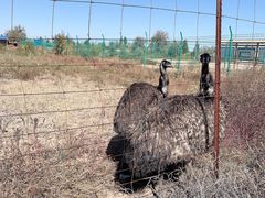 -亿利库布其七星湖沙漠生态旅游区