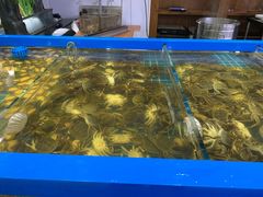 水产区-青岛蓝海大饭店·爱琴海自助餐厅(崂山店)