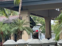 -海南清水湾莱佛士酒店