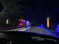-枫花园汽车电影院(朝阳公园店)