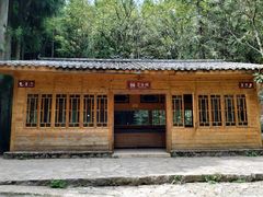 -武陵山森林公园