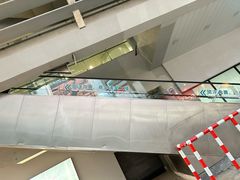 -龙阳路磁悬浮列车总站-停车场