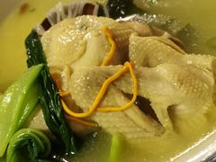 -汤泉良子(金源店)