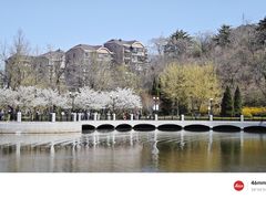 -大连植物园