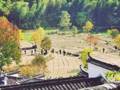 -塔川景区