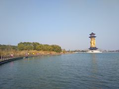 -溱湖国家湿地公园