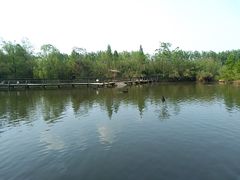 -溱湖国家湿地公园