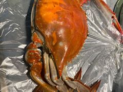 -奔海甄选·活鲜刺身铁板烧自助(太原里店)