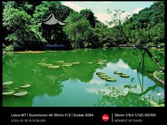-云溪植物园