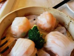 -新世纪大酒楼·30年南海菜