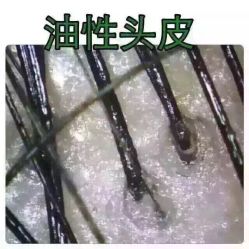-柯琳造型