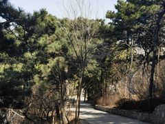 -北京西山国家森林公园