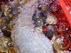 -巽寮印象美食部落餐厅·海鲜·地方特色菜(惠州体验店)