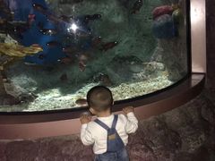 -福州罗源湾海洋世界旅游区