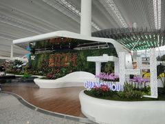 -广州白云国际机场-T2航站楼