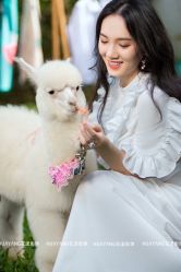 -花漾摄影优选工作室(东莞原创作品店)