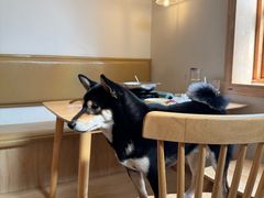 -柴の食堂·日式家庭料理·熊之肆(大学路店)