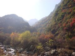 -少华山国家森林公园