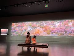 -罗红摄影艺术馆