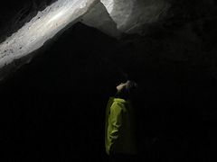 -银峰农庄·特色烧鸡·鲜无花果浸鸡