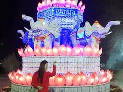 -台儿庄古城