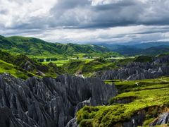 -同庆楼(金宝汇店)