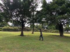 -东莞植物园