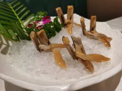 -纯味斑鱼府(中海环宇荟店)