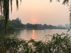 -济南大明湖景区