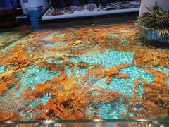 -驻海渔市(置信店)