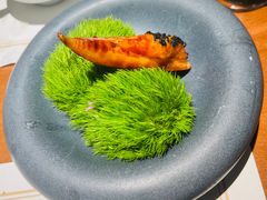 -觀芷隐轩