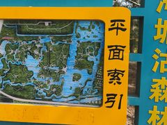 -塘沽森林公园