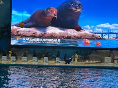 -泉城欧乐堡海洋极地世界
