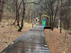 -帽儿山国家森林公园