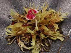 -和平官邸·花园餐厅(武定西路店)