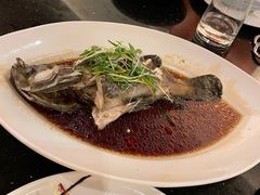 豉油皇蒸石斑鱼-铭轩中餐厅·海南菜·粤菜(亚龙湾瑞吉店)