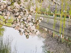 -元大都城垣遗址公园