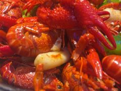 -沈胖子音乐烤吧·炒菜·龙虾(环城东路店)
